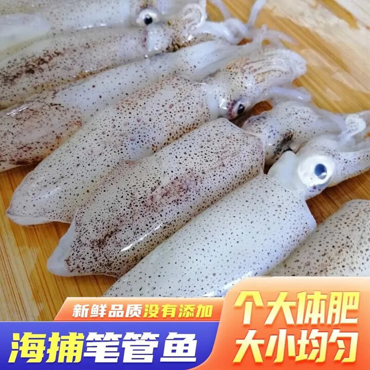 新鲜野生笔管鱼海兔鲜活海兔灯光小鱿鱼一口鱿鱼生鲜冷冻火锅海鲜 1500g(净重) 笔管鱼3斤【图片 价格 品牌 报价】-京东
