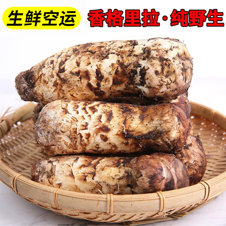 卡布诺香格里拉松茸新鲜刺身野生松茸未开伞云南蘑菇应季鲜菌生鲜礼品 12-15cm未开伞1级,净重1000g【图片 价格 品牌 报价】-京东
