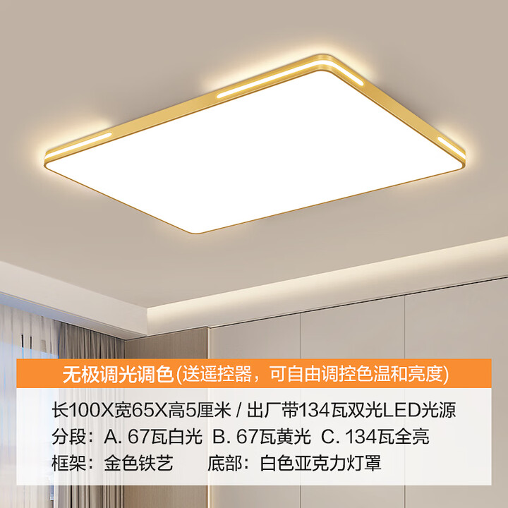 科锐亮led吸顶灯饰客厅大灯餐厅卧室灯具大全2025款现代简约超亮 长100*65厘米无极遥控134瓦【图片 价格 品牌 报价】-京东