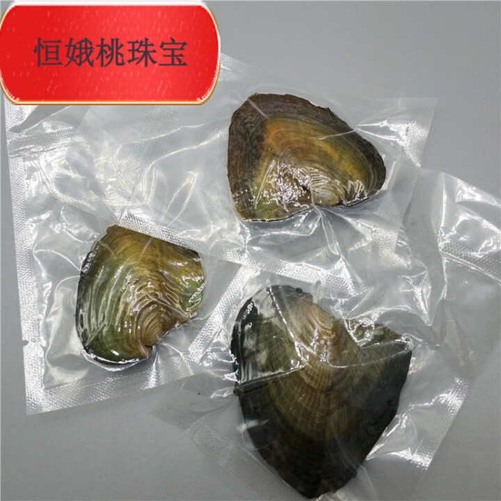 桐汝壁一蚌一珠淡水真空小河蚌壳自己开蚌取珍珠项链易拉罐套装礼 真空包装1枚开蚌乐趣【图片 价格 品牌 报价】-京东