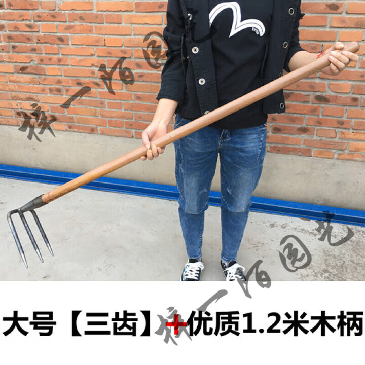 翻土钢耙子二齿三齿四齿钉耙松土耙两齿镐锰钢农用三四齿锄头大号 大号钢耙[三齿]带优质木柄【图片 价格 品牌 报价】-京东