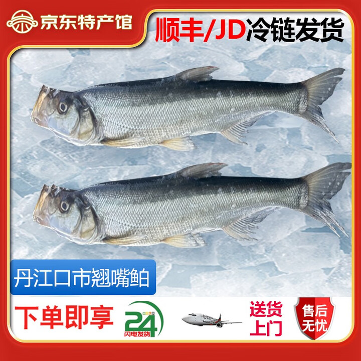 源头地丹江口翘嘴鲌鱼新鲜生态淡水大白刁子鱼白鱼整条送礼湖北年货送礼 2斤装(2条尝鲜) 1kg【图片 价格 品牌 报价】-京东