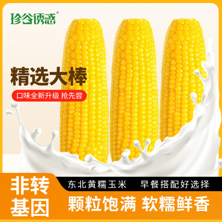 珍谷诱惑24年新鲜糯玉米 精品大棒 东北甜糯玉米棒 真空玉米...