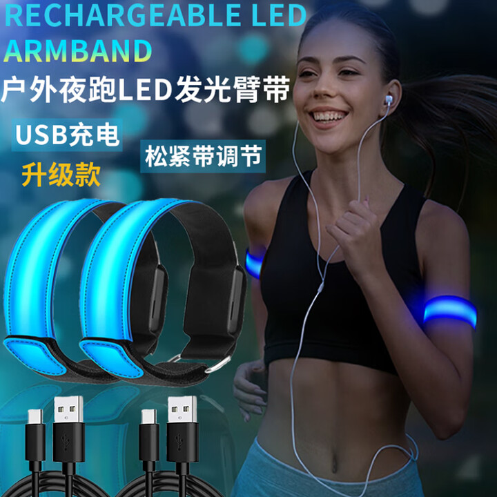 何佳功户外夜跑灯发光跑步臂带骑行安全绑腿信号灯反光装备USB充电手环 两条装红色USB充电