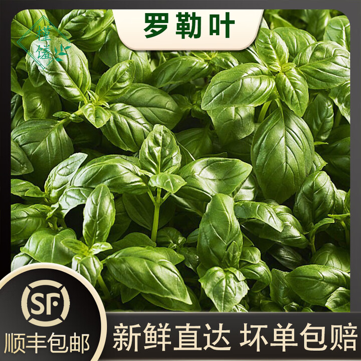 槿馐新鲜罗勒叶50g-1500g 食用西餐香料披萨草甜罗勒欧罗 顺丰包邮 罗勒叶100g【图片 价格 品牌 报价】-京东