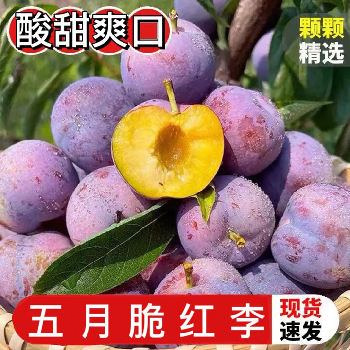 兮柔四川李子 五月脆凤凰李新鲜李子脆甜多汁当季时令新鲜水果现摘 3斤装小果 单果15-20g【图片 价格 品牌 报价】-京东