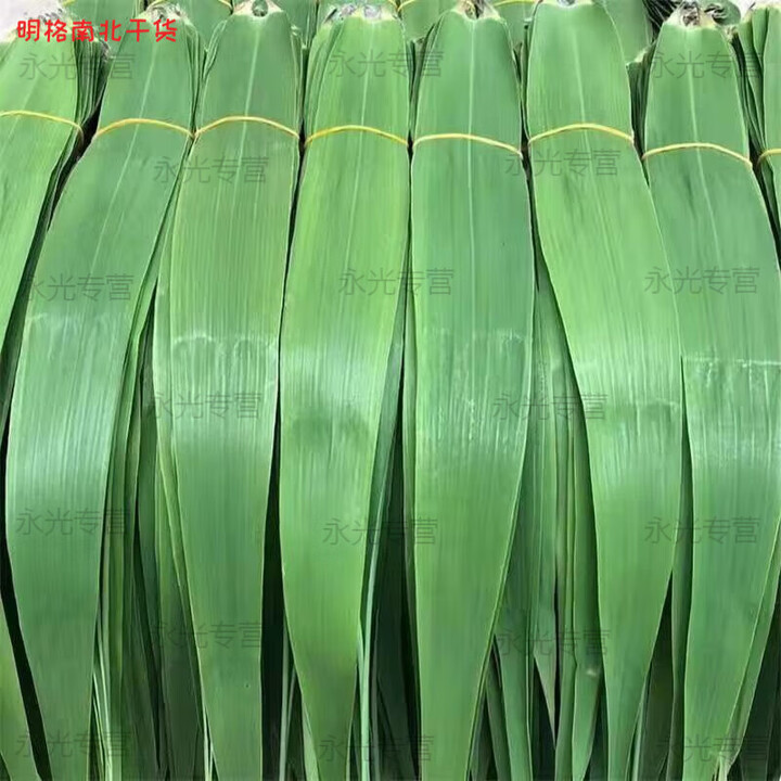 白洋淀芦苇叶新鲜粽叶芦苇叶包粽子的苇叶粽叶新鲜粽叶 60片送60片送绳【图片 价格 品牌 报价】-京东