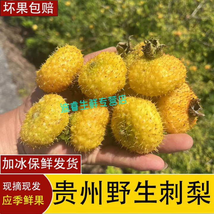 贵州毕节野生鲜果刺梨现摘新鲜刺梨刺梨果维C泡酒泡茶榨汁水果 3斤【图片 价格 品牌 报价】-京东