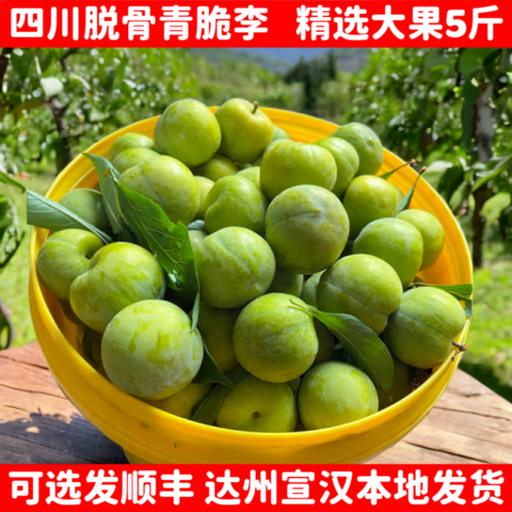 七叶岛  四川达州农家脱骨李李子大果宣汉庙安青脆李新鲜水果现摘现发