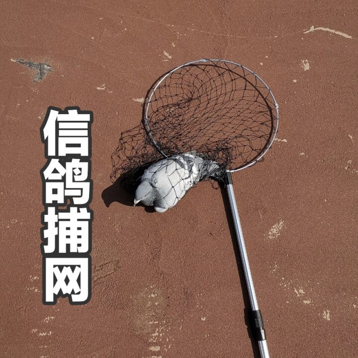 NAOISKEY 脑斯基铝合金鸽子抄网信鸽捕网伸缩杆抄网赛鸽捕网超轻便携式抄网 1.5m 铝合金抄网【图片 价格 品牌 报价】-京东