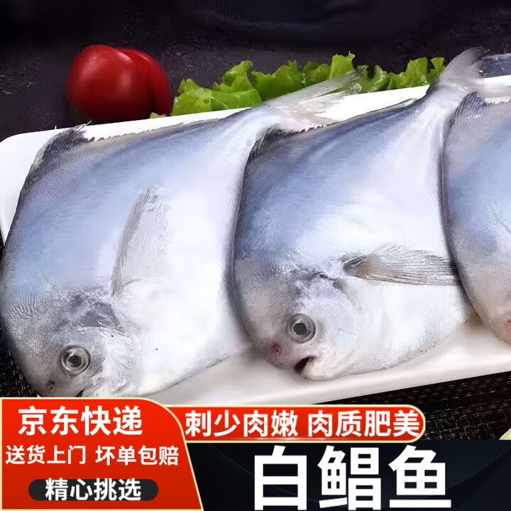 白鲳鱼鲜活冷冻野生海捕新鲜整箱大银鲳鱼大号平鱼斗昌鱼 (一斤烧一盆)5-6条/斤 1500g 净重3斤装【图片 价格 品牌 报价】-京东