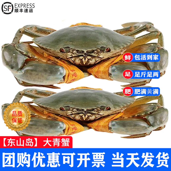 【活鲜】IGIFTFIRE特大青蟹鲜活 超大母膏蟹公蟹肉蟹 中秋礼品 肥满公蟹 3斤 (3只)礼盒装【图片 价格 品牌 报价】-京东