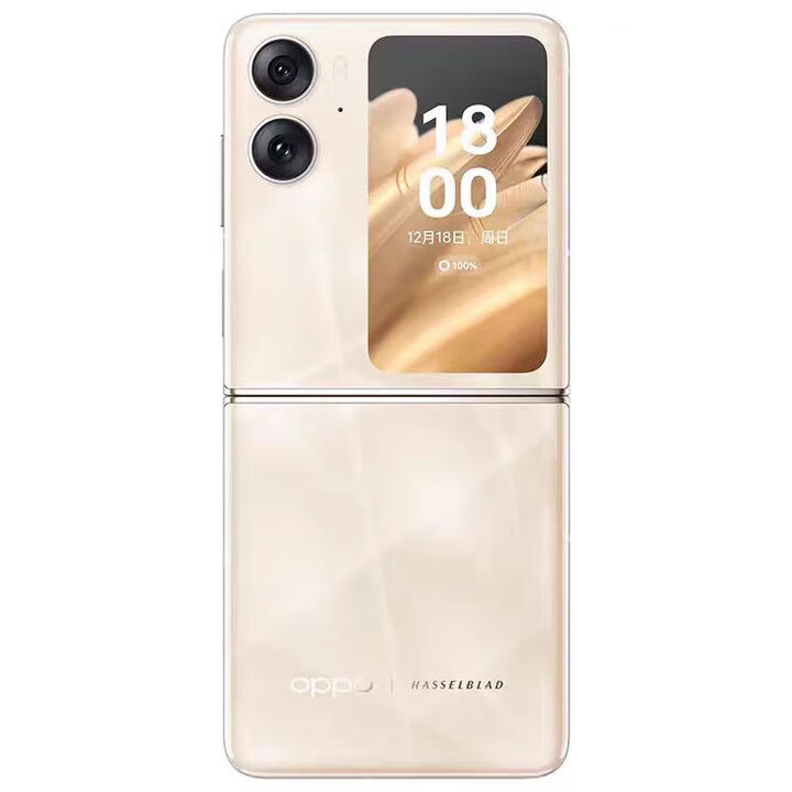 OPPOFind N2 Flip 5G通折叠屏 120Hz镜面屏 5000万 手机 流金 5G通_套餐一_靓机_16GB+512GB_中国大