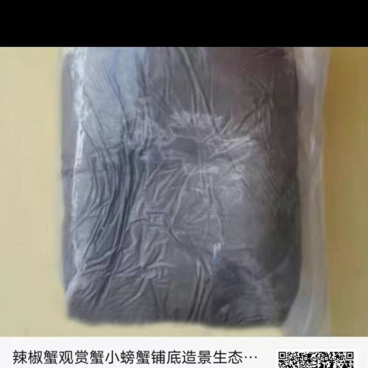 弹涂鱼活鱼跳跳鱼小型淡水观赏鱼弹涂鱼 …