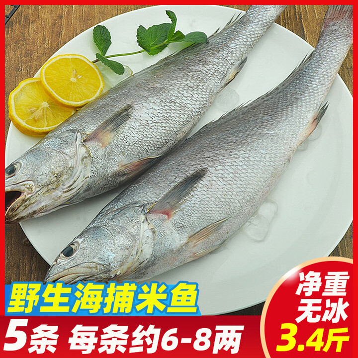 5条舟山米鱼新鲜冷冻东海鳘鱼海捕鮸鱼敏鱼冰冻鮸鱼海鲜水产3.4斤【图片 价格 品牌 报价】-京东