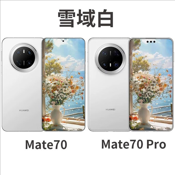 华为（HUAWEI） Mate 70鸿蒙AI红枫原色影像玄武架构5G手机mate70Pro 雪域白 12GB+512GB_5G通