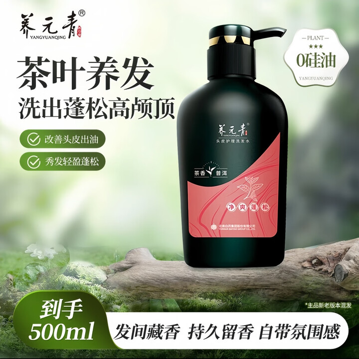 养元青洗发水 普洱茶香植物精粹 控油蓬松 去屑止痒 头皮护理洗发乳正品 【普洱茶香】净爽蓬松500ml*1瓶【图片 价格 品牌 报价】-京东