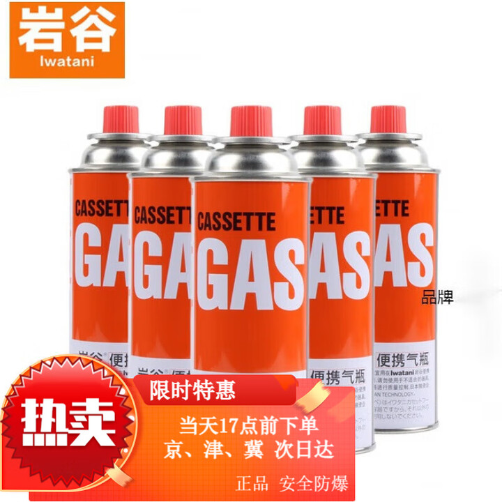 岩谷（Iwatani）便携卡式炉气罐户外卡式防爆燃气罐液化气瓦斯丁烷气瓶 岩谷气罐250g * 2瓶