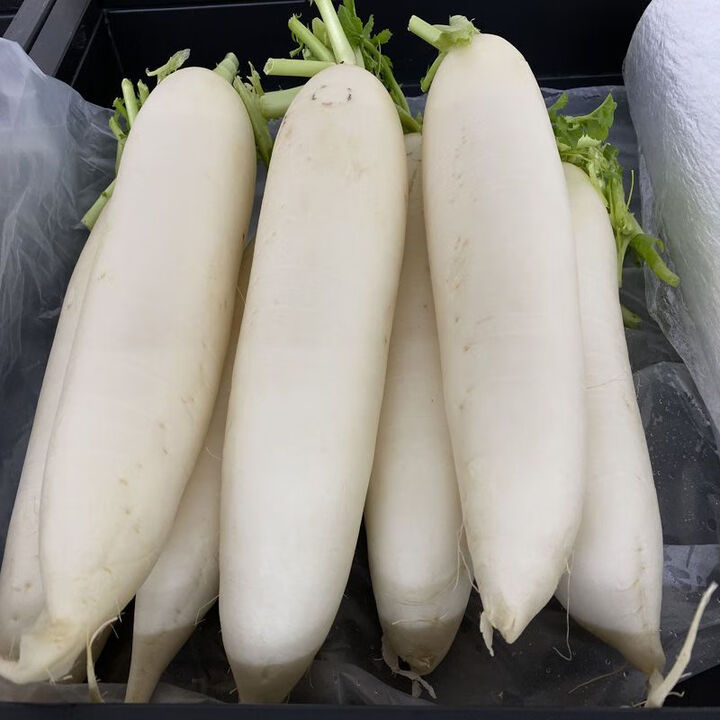 白萝卜新鲜蔬菜水果萝卜甜脆当季蔬菜生吃清脆腌菜泡菜罗卜包邮 一根试吃装(看清楚再下单)【图片 价格 品牌 报价】-京东