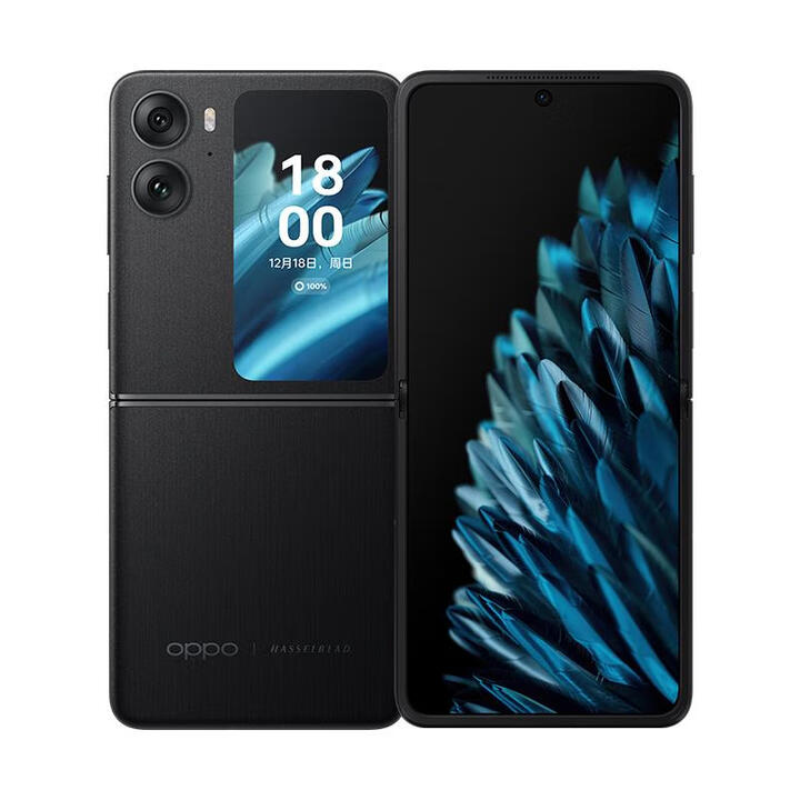 OPPOFind N2 Flip 5G通折叠屏 120Hz镜面屏 5000万超清自拍 雅黑 8GB+256GB