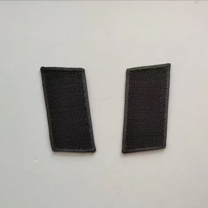 常用服肩章臂章胸标帽幑橄榄领章花服役标志配饰全套收藏交旧可 老款领贴 L