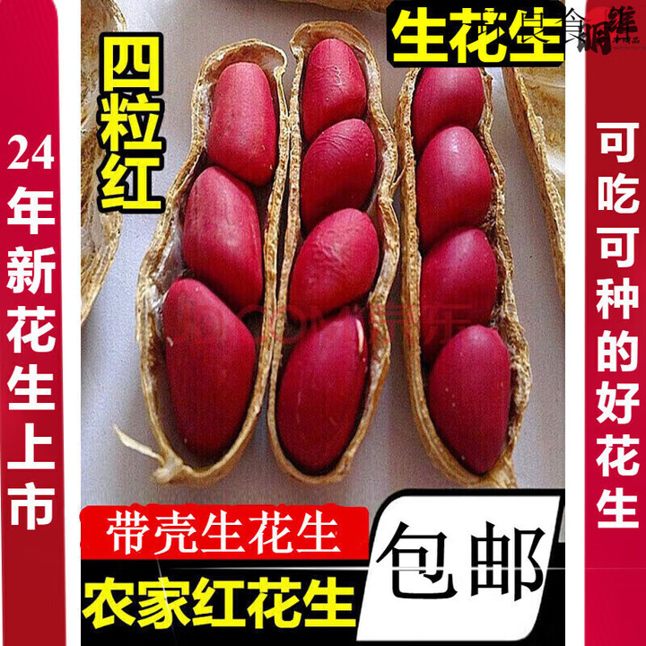 榛质信农家红皮花生散装新货新鲜晒干带壳生花生红衣四粒红皮花生 [新花生]带壳生花生10斤【图片 价格 品牌 报价】-京东