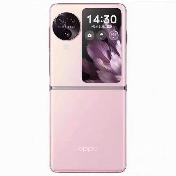 OPPO FindN3Flip  小屏折叠手机  5G全网通双卡双待 月光缪斯精选靓机 薄雾玫瑰 12+512G 【完美屏】精选靓机+快充配件