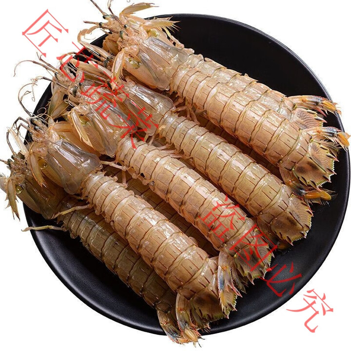 皮皮虾鲜活一名虾爬子超大皮皮虾蒸熟带冷冻膏全母皮皮虾海鲜海虾 大号公皮皮虾【8-12cm】 1kg(净重) 二斤装【鲜活熟冻】【图片 价格 ...