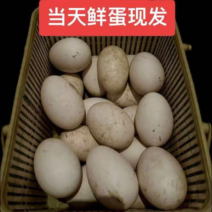 广东狮头正宗潮汕狮头新鲜鹅蛋狮头鹅蛋新鲜散养土鹅蛋孕宝辅食 12枚【约180-195克左右 狮头鹅蛋】 潮汕狮头鹅蛋新鲜现发【图片 价格 品牌 ...