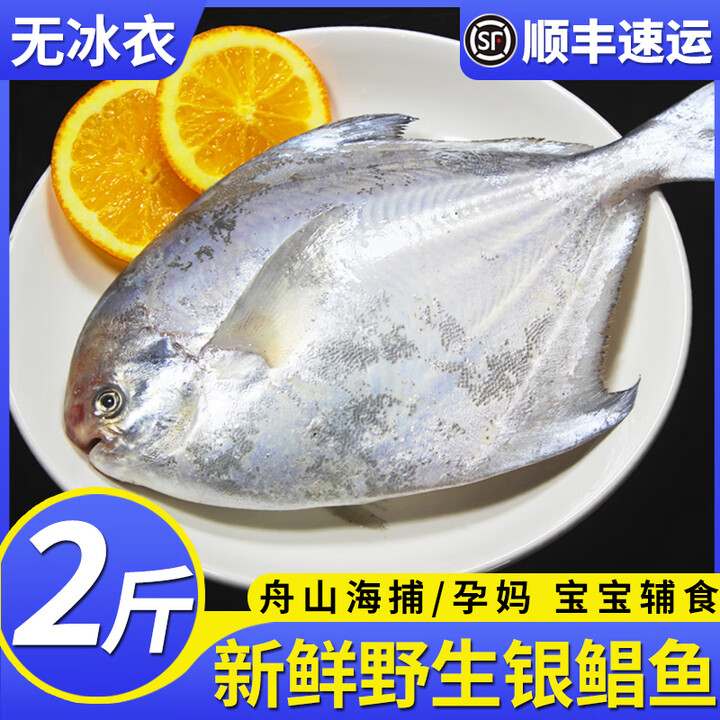 鲜起源鲳鱼舟山东海野生银鲳鱼特大号新鲜冷冻昌鱼整箱大平鱼鲜活白鲳鱼 4条共2斤【图片 价格 品牌 报价】-京东