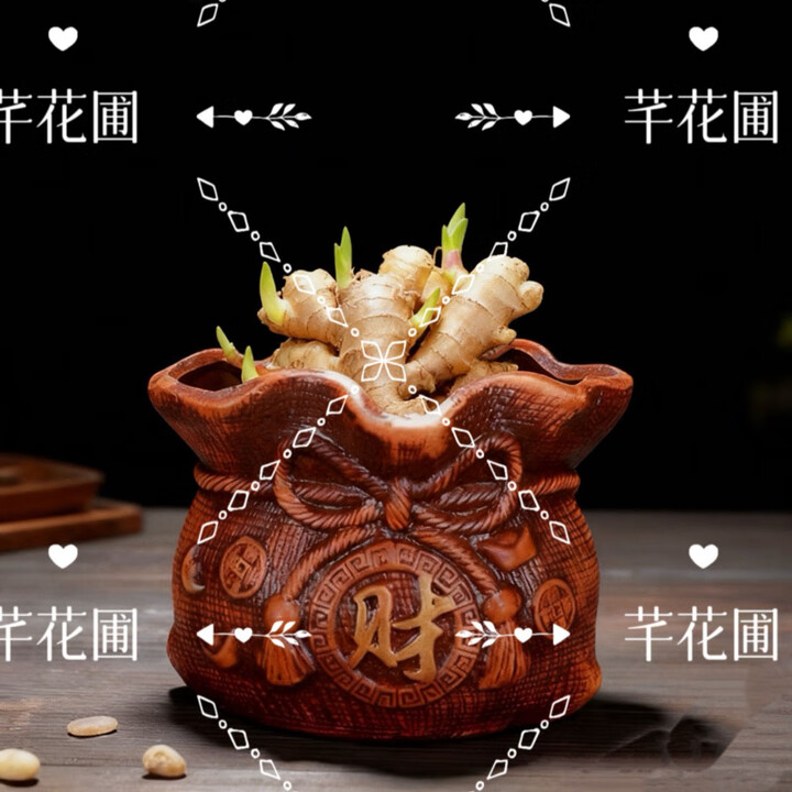禄根盆栽带芽灵根仙草不当生姜苗绿植物国风桌面转运盆景好养 带芽点禄根:聚财聚宝盆+底座【图片 价格 品牌 报价】-京东