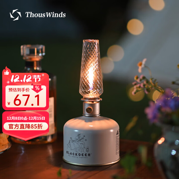 THOUS WINDS千风气灯玻璃灯罩适配千风露营气灯灯罩燃气灯瓦斯气灯玻璃罩配件 B款复古透明光板