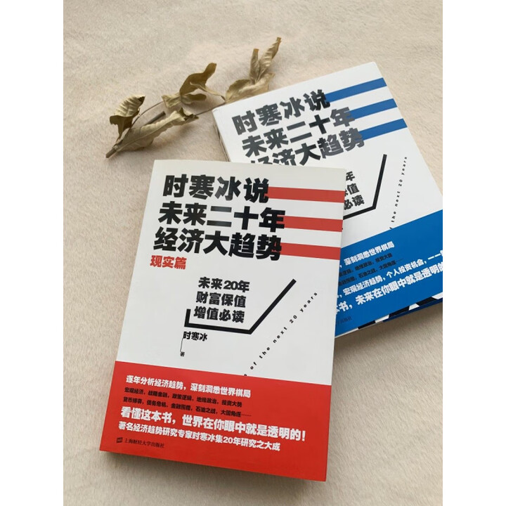 《正版现货时寒冰说未来二十年经济大趋势（现实篇+未来篇）全2册时寒冰著上海财经大学出版社》【摘要 书评 试读】- 京东图书