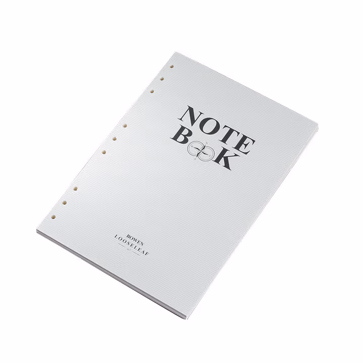 博文活页记事本替芯6孔9孔A5B5加厚纸张可拆卸内页横线办公商务日记本内芯 A5