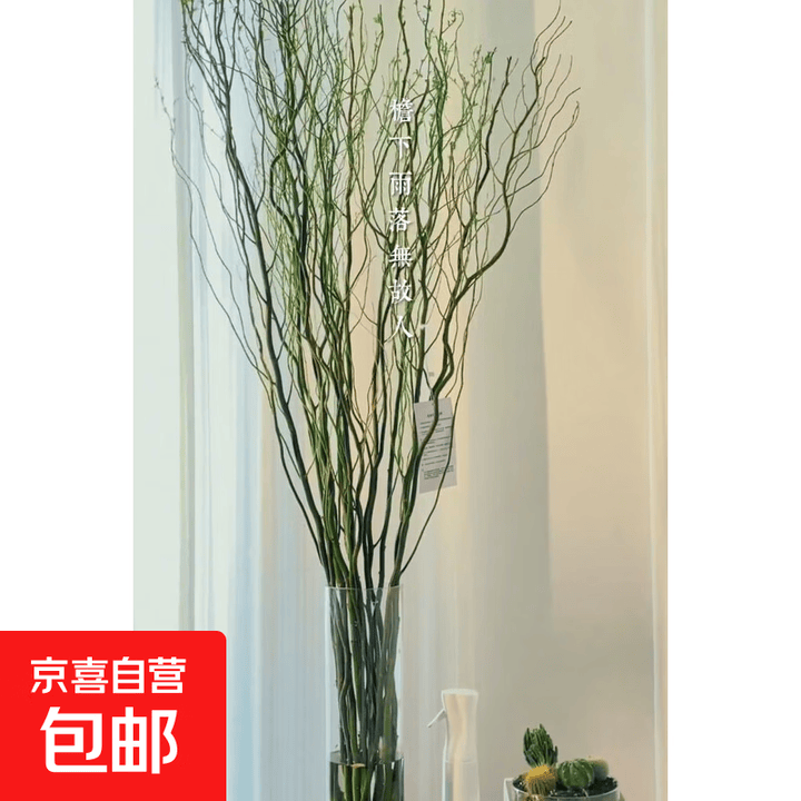 室内水培绿植龙柳鲜枝盆栽花卉观叶好养活客厅四季可养 精选龙柳1米高20支 不含盆【图片 价格 品牌 报价】-京东