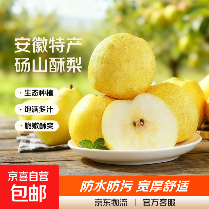 正宗砀山酥梨安徽特产秋日吃梨好时节启程 酥梨带箱5斤【图片 价格 品牌 报价】-京东