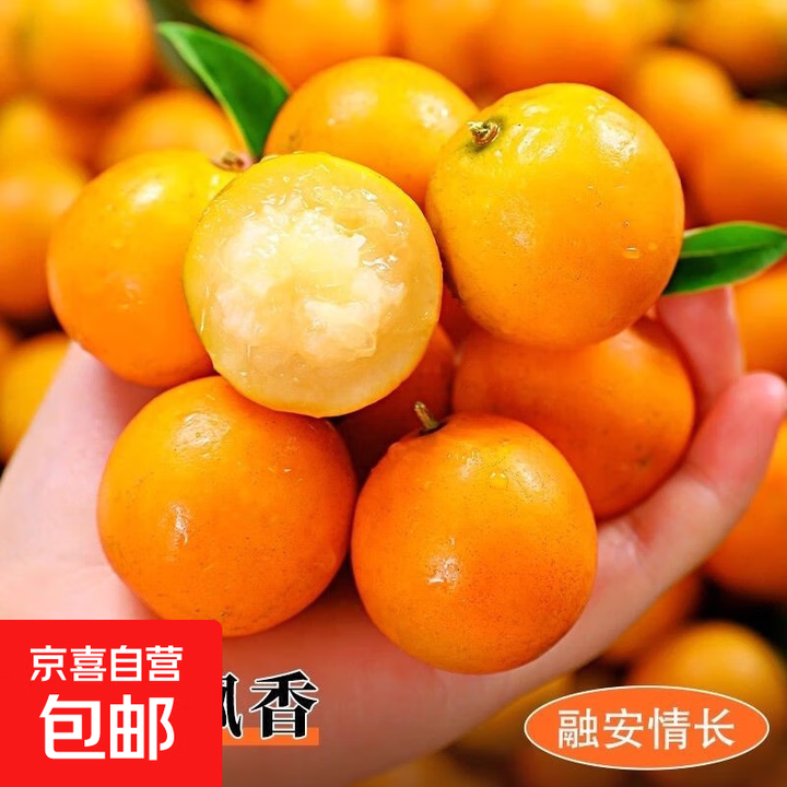 【脆皮金桔】今年新果当季新鲜采摘金桔小桔子带皮吃 金桔大果带箱5斤【图片 价格 品牌 报价】-京东