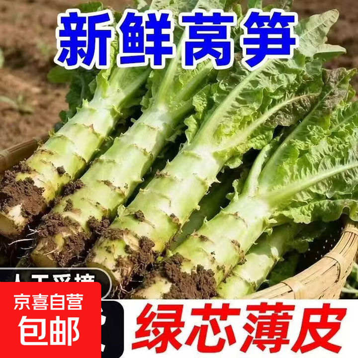 新鲜莴笋湖北农家露天种植时令蔬菜嫩青笋产地直销蔬菜 3斤【图片 价格 品牌 报价】-京东