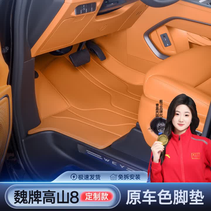 戴卫适用于魏牌高山8/9脚垫全包围原车色25款汽车地毯内饰专用品配件 单层【霞光橙】 高山8【图片 价格 品牌 报价】-京东