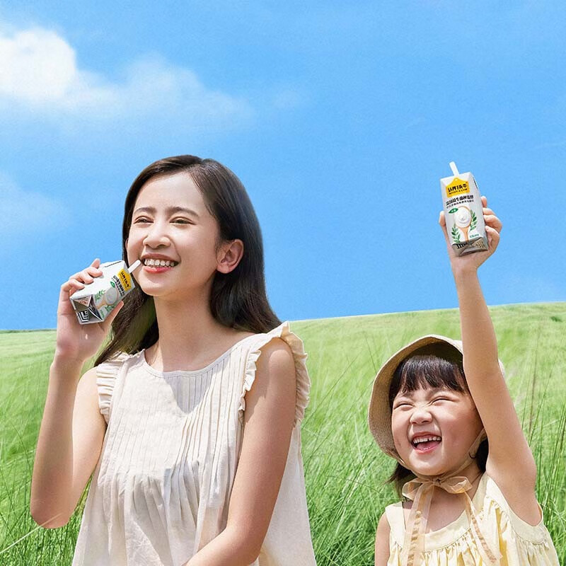 认养一头牛 常温原味法式酸奶200克*12盒*2提儿童学生风味酸牛奶送礼团购 酸奶