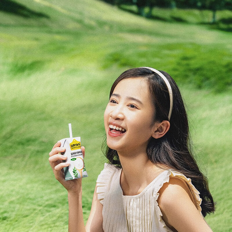 认养一头牛 常温原味法式酸奶200克*12盒*2提儿童学生风味酸牛奶送礼团购 酸奶