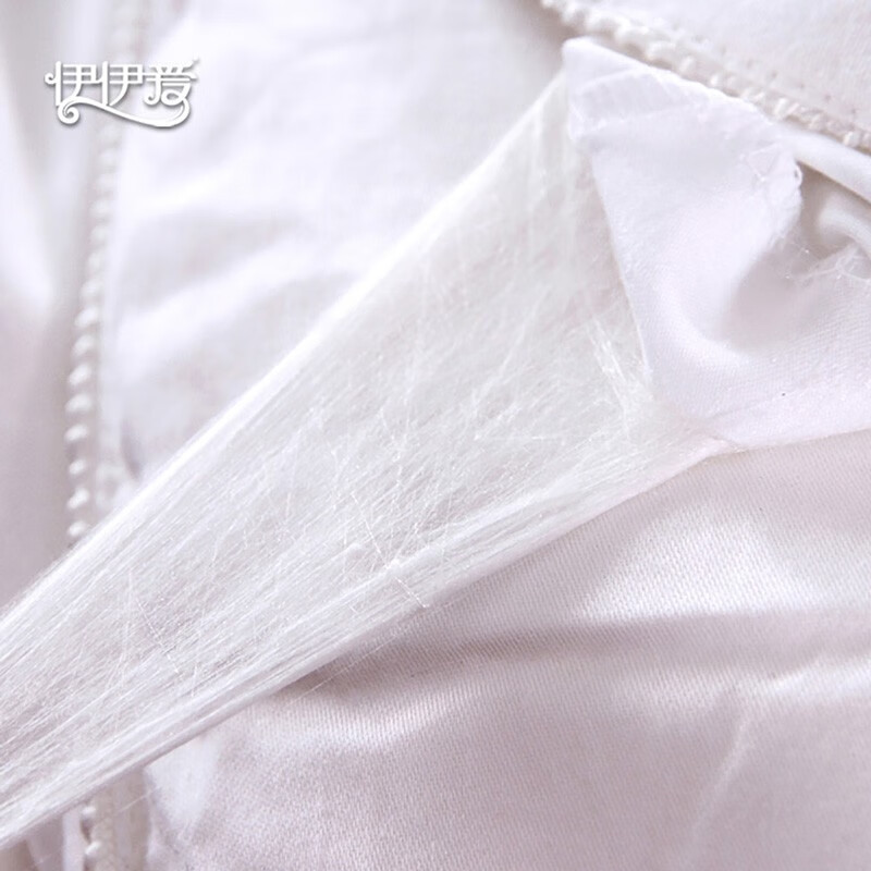 伊伊爱SC-C1W-100BN贡缎百分百桑蚕丝被2斤（单位：床） 白色 200*230cm