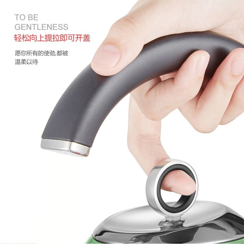 摩飞电器（Morphyrichards） 家用电热水壶进口304不锈钢大容量烧水壶 MR7456A MR7456A绿色1.5L