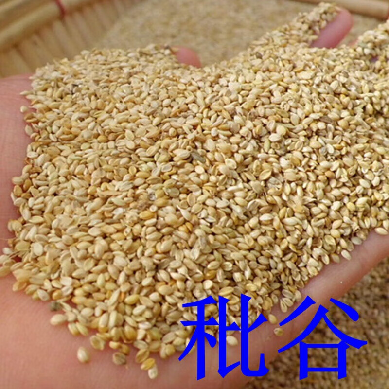 秕组词 京东