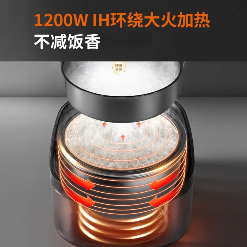 九阳（Joyoung）电饭煲铁釜内胆IH电磁加热智能预约多功能柴火饭电饭锅 3升【F30T-F372】