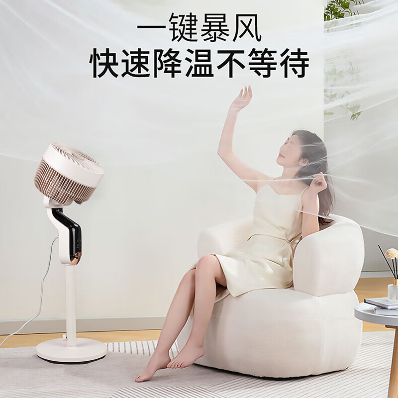 Abereve艾贝丽 整屋循环风扇ABL-FS2102