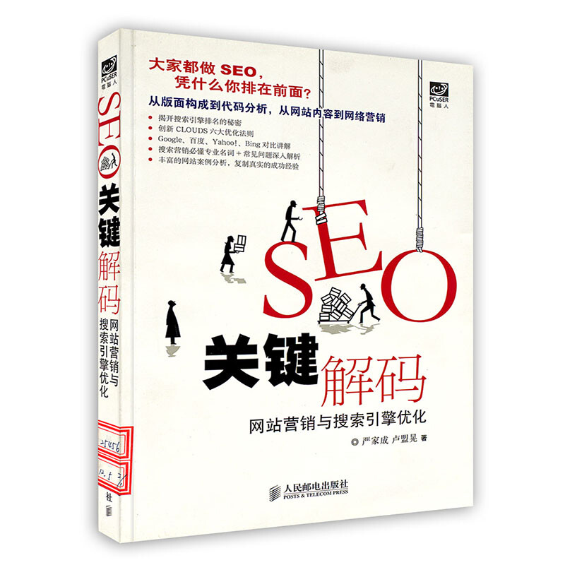 学seo比较好的书 京东