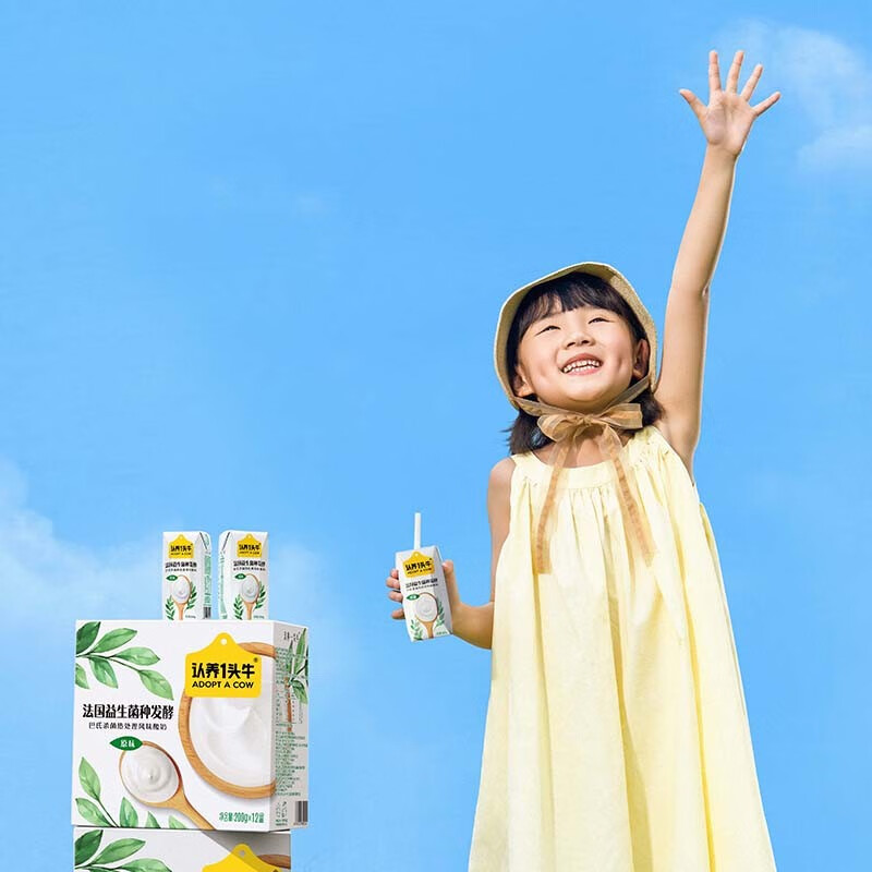 认养一头牛 常温原味法式酸奶200克*12盒*2提儿童学生风味酸牛奶送礼团购 酸奶
