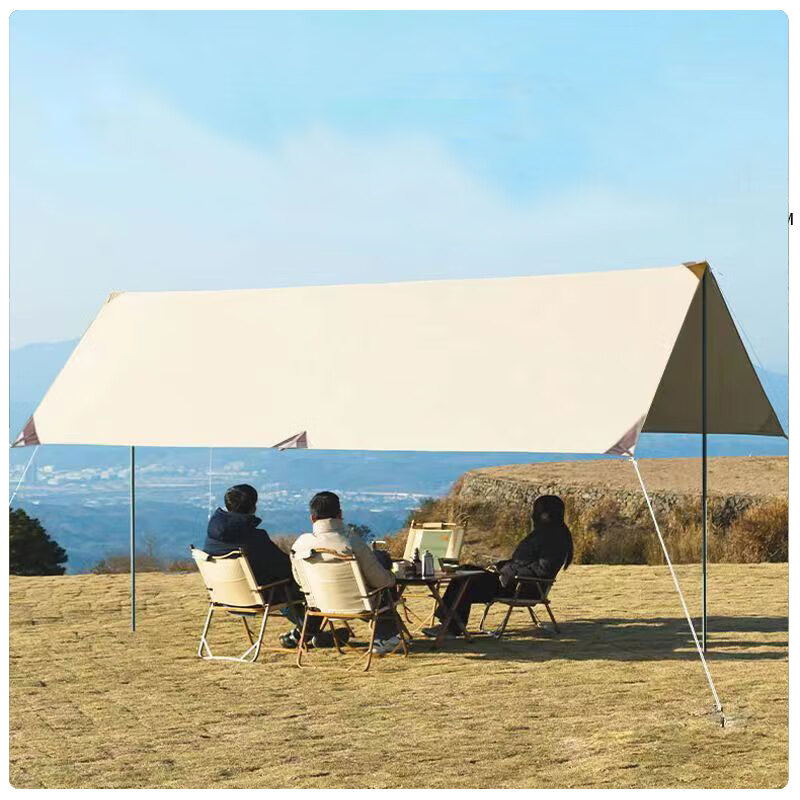 艾逸瑶选艾自由天幕银胶款3*5mHW-22991