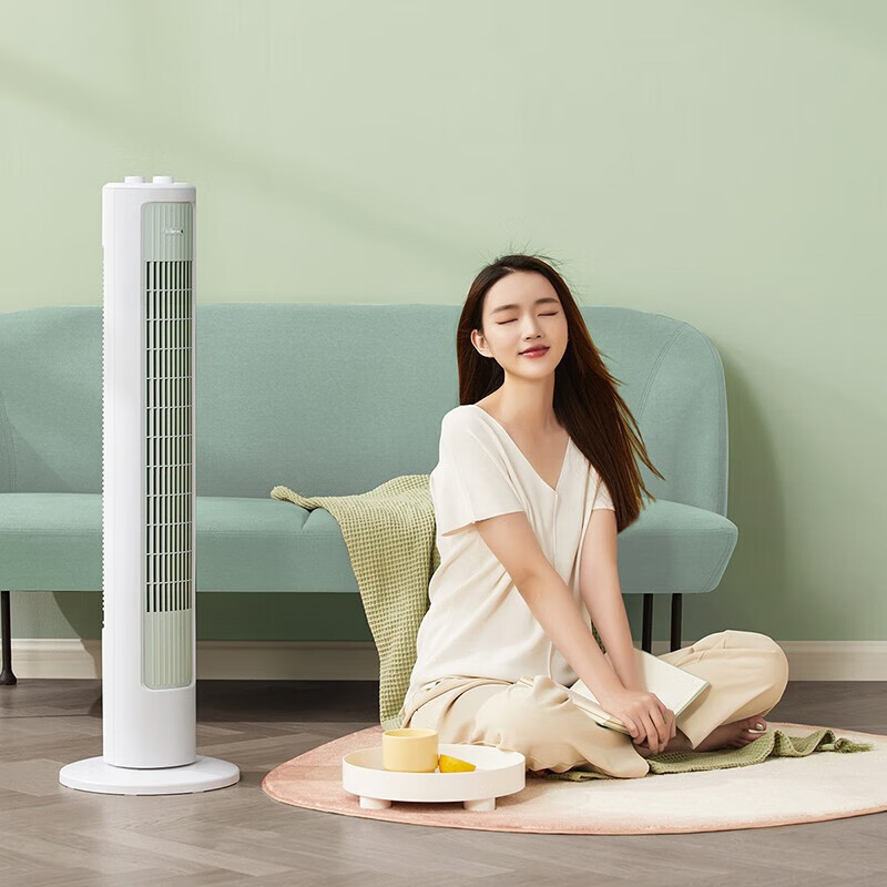 小熊（Bear）电风扇 无叶风扇 落地家用节能可定时摇头风扇低噪塔扇 塔式落地扇浅绿色DFS-D40G1